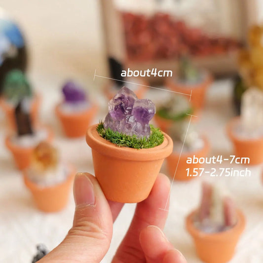 Natural Amethyst Quartz Crystal Stones - Healing Gemstones Feng Shui