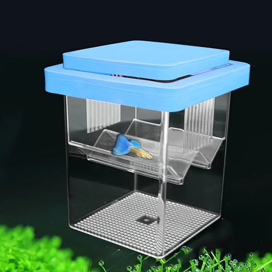 High Clear Multifunctional Fish Breeding Isolation Box Double Guppy