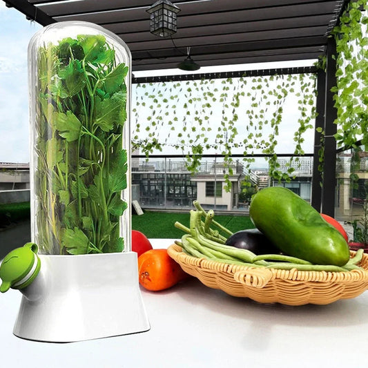 Herb Saver Storage Container Vegetable Preserving Bottle Fresh Herb Keeper for Kitchen Storing Cilantro Mint Parsley Asparagus