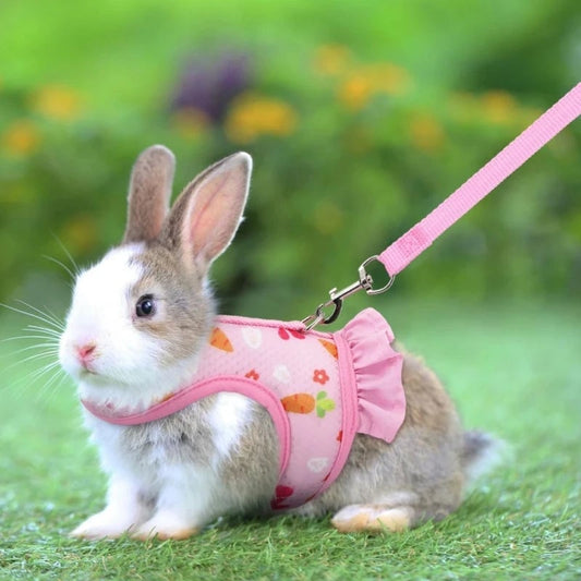 Adjustable Mesh Rabbit Harness Leash - Breathable Vest for Bunnies