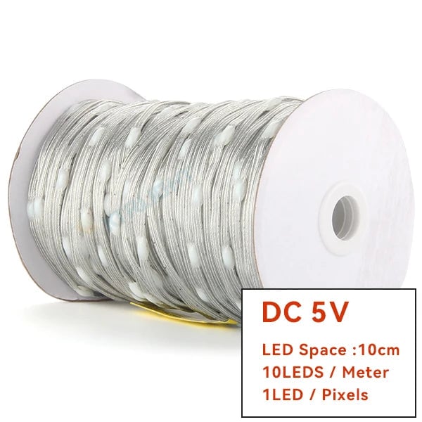WS2811 RGBIC LED Strip 12V/5V Addressable Christmas Fairy Lights