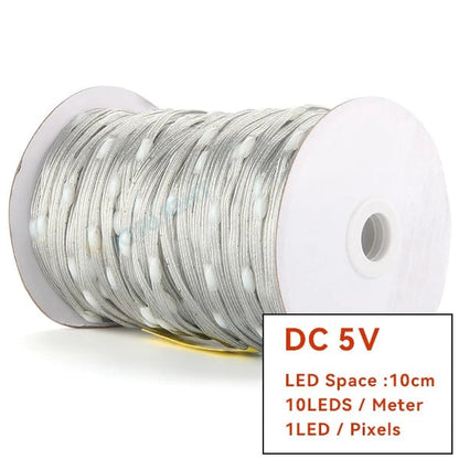WS2811 RGBIC LED Strip 12V/5V Addressable Christmas Fairy Lights