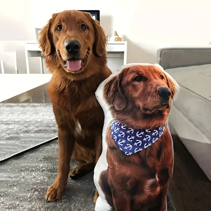 Custom Pet Photo Pillow Double-Sided Digital Print Polyester Cushion