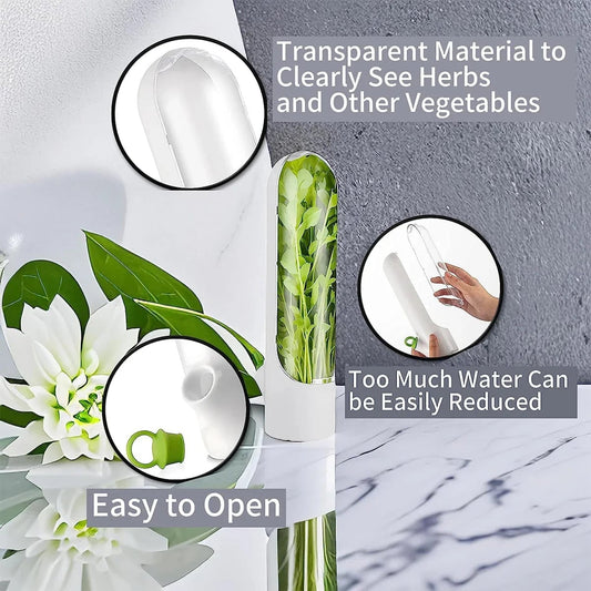 Herb Storage Container Set Fresh Keeper Refrigerator Containers