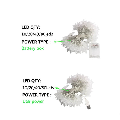 LED Star String Lights 20ft USB Battery Warm White Fairy Lights