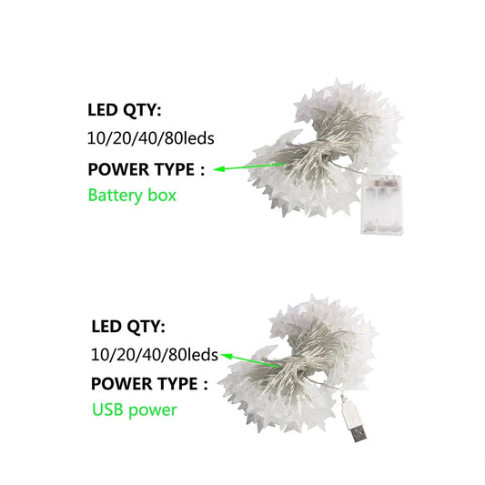 LED Star String Lights 20ft USB Battery Warm White Fairy Lights