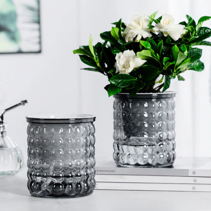 Self Watering Hydroponic Planter - Plastic Succulent Pot Tabletop
