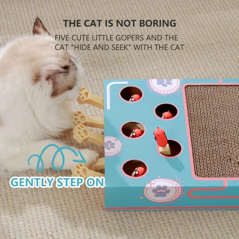 Pop-Up Interactive Cat Scratcher - Corrugated Cardboard Multi-Play Toy