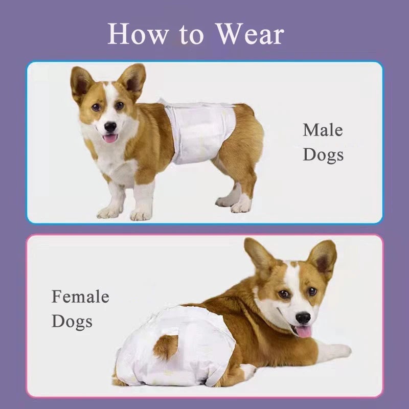 Disposable Pet Diapers 10/12PCs Breathable Absorbent for Dogs