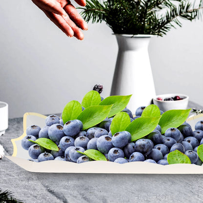 4Pc Paper Lace Cake Pan Set - Disposable Fruit Tray Serving Platters