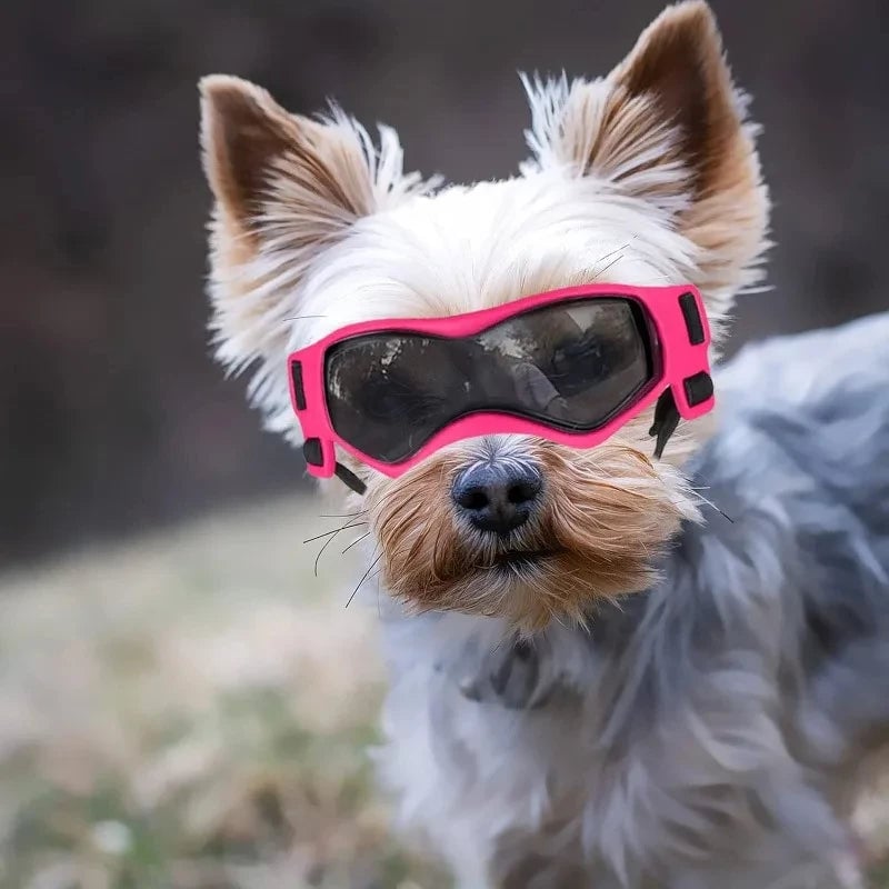 UV Protective Dog Goggles - Anti-Wind Sunglasses for Small Medium Dogs