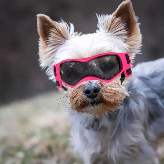 UV Protective Dog Goggles - Anti-Wind Sunglasses for Small Medium Dogs