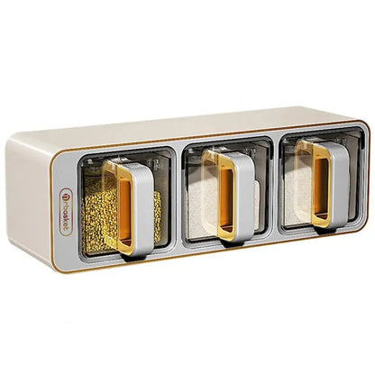 Wall-Mounted Spice Rack Set with Magnetic Containers & Spoons