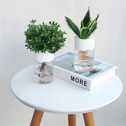 Mini Hydroponic Glass Vase - Transparent Soilless Plant Pot