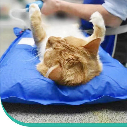 Vacuum Animal Surgical Positioning Mat - Veterinary Examination Pad