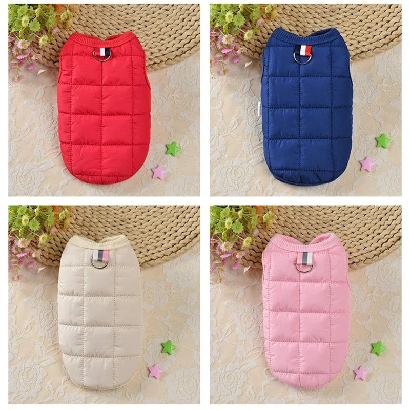 Windproof Padded Winter Dog Coat - Warm Jacket for Small Dogs