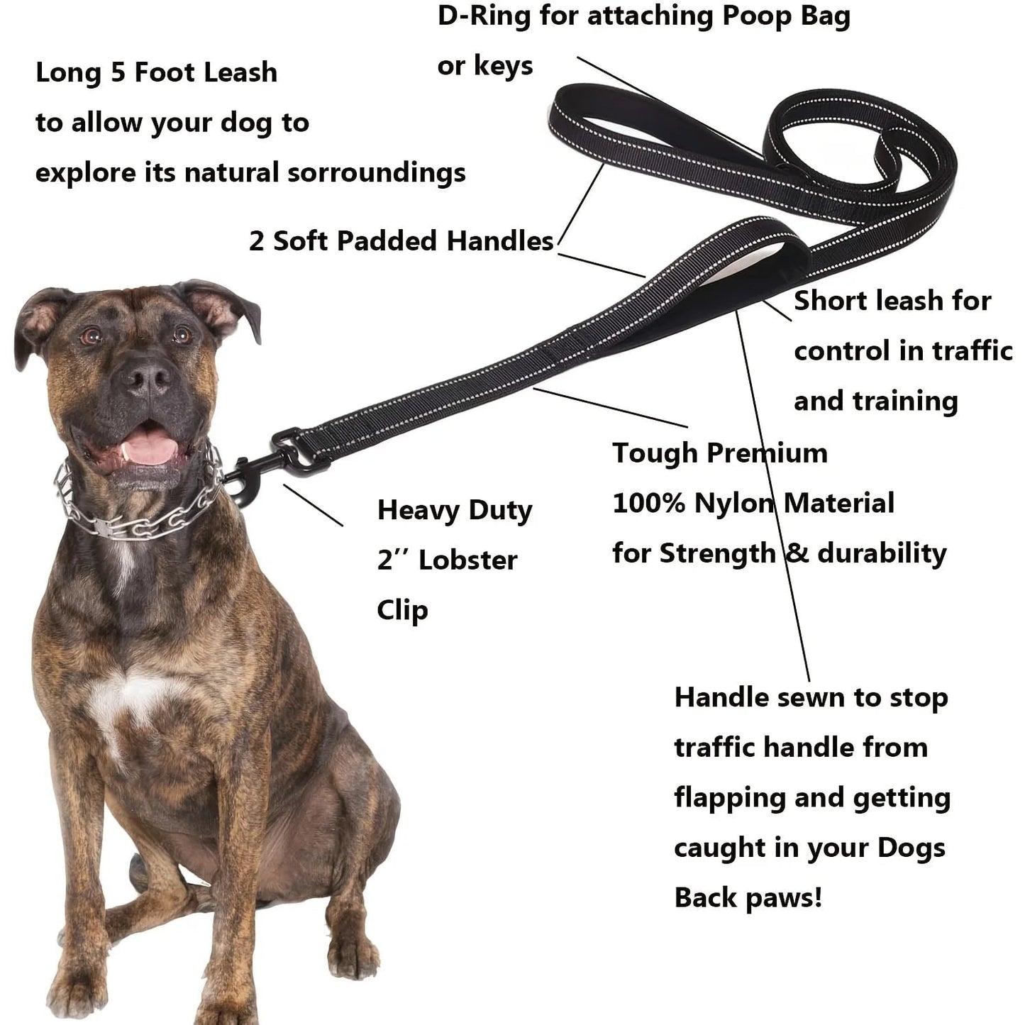 Heavy Duty Double Handle Chain Dog Leash - Training Control Lead