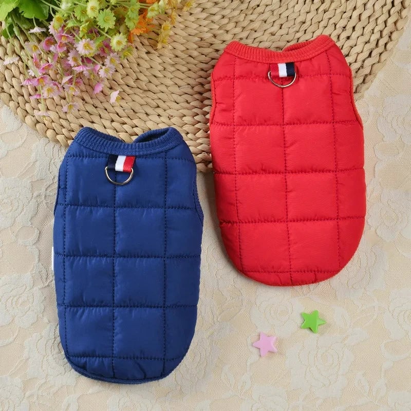 Windproof Padded Winter Dog Coat - Warm Jacket for Small Dogs