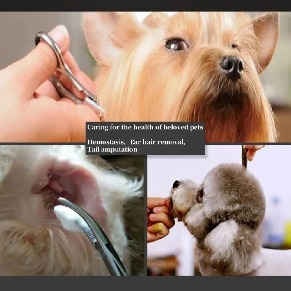 13cm Japanese Stainless Steel Hemostatic Forceps for Pet Grooming
