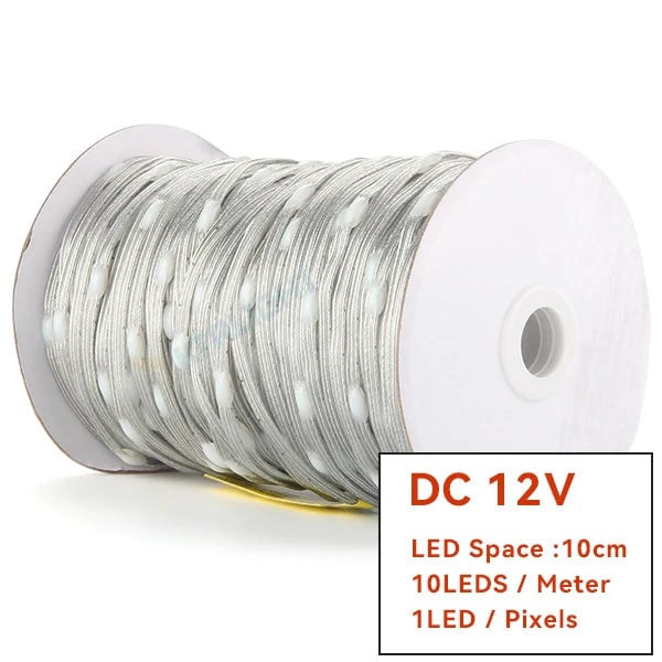 WS2811 RGBIC LED Strip 12V/5V Addressable Christmas Fairy Lights