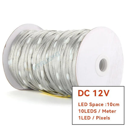 WS2811 RGBIC LED Strip 12V/5V Addressable Christmas Fairy Lights