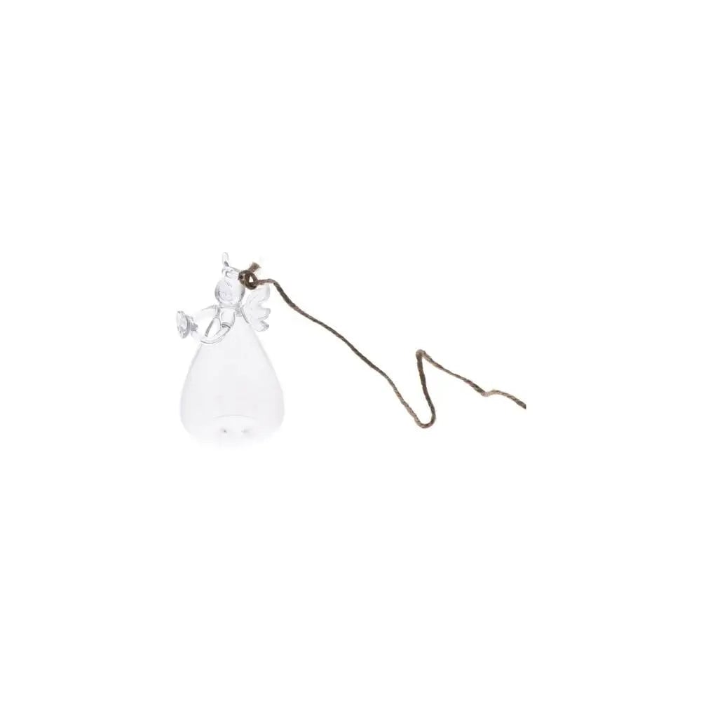 Borosilicate Glass Angel Vase - Wall Mounted Hydroponic Planter