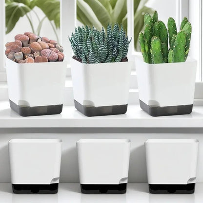 5Pcs Self Watering Plant Pots with Drainage Saucer Indoor Outdoor