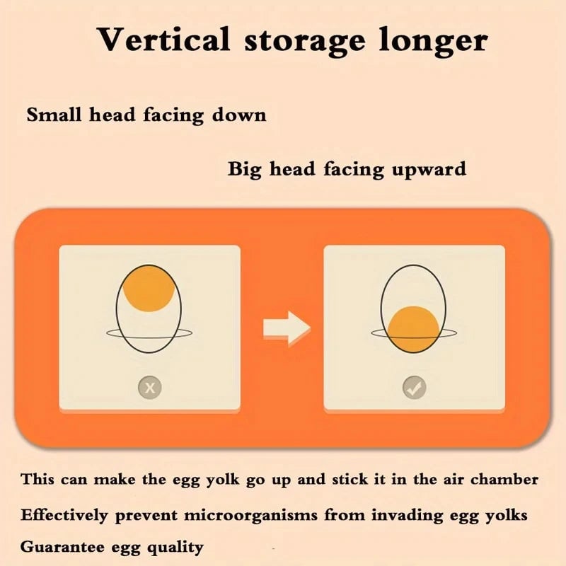 2-Layer Drawer Egg Storage Box - Large Capacity Refrigerator Organizer