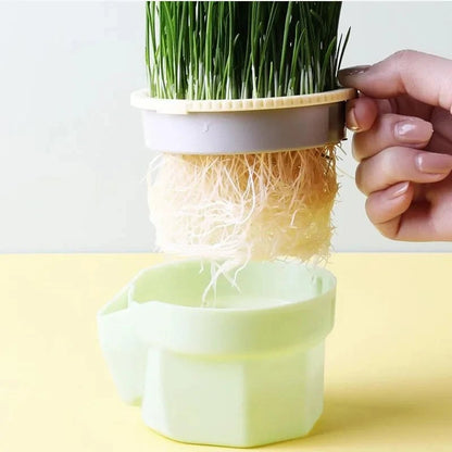 Cat Grass Growing Kit - Hydroponic Germination Pot for Pet Digestion