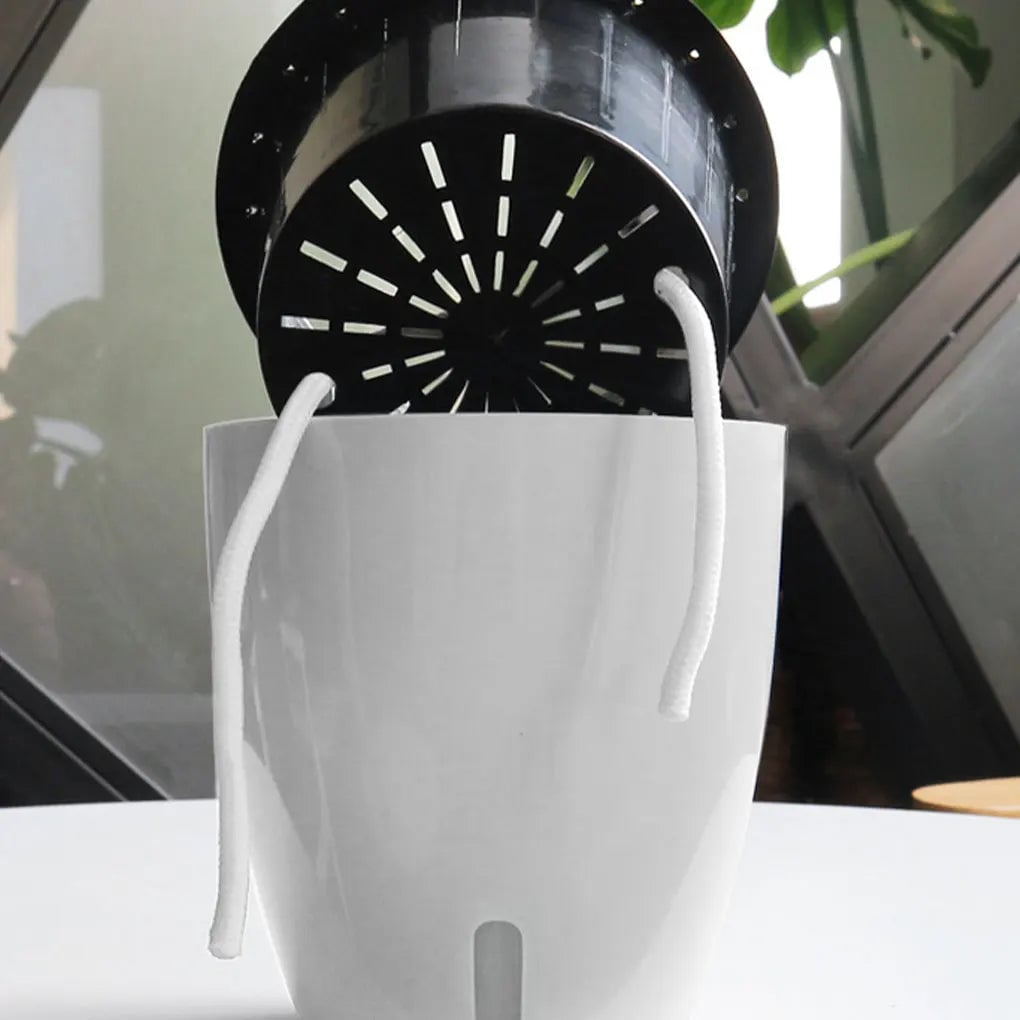 Self Watering Plant Pot - Durable Herb Vegetable Flower Planter