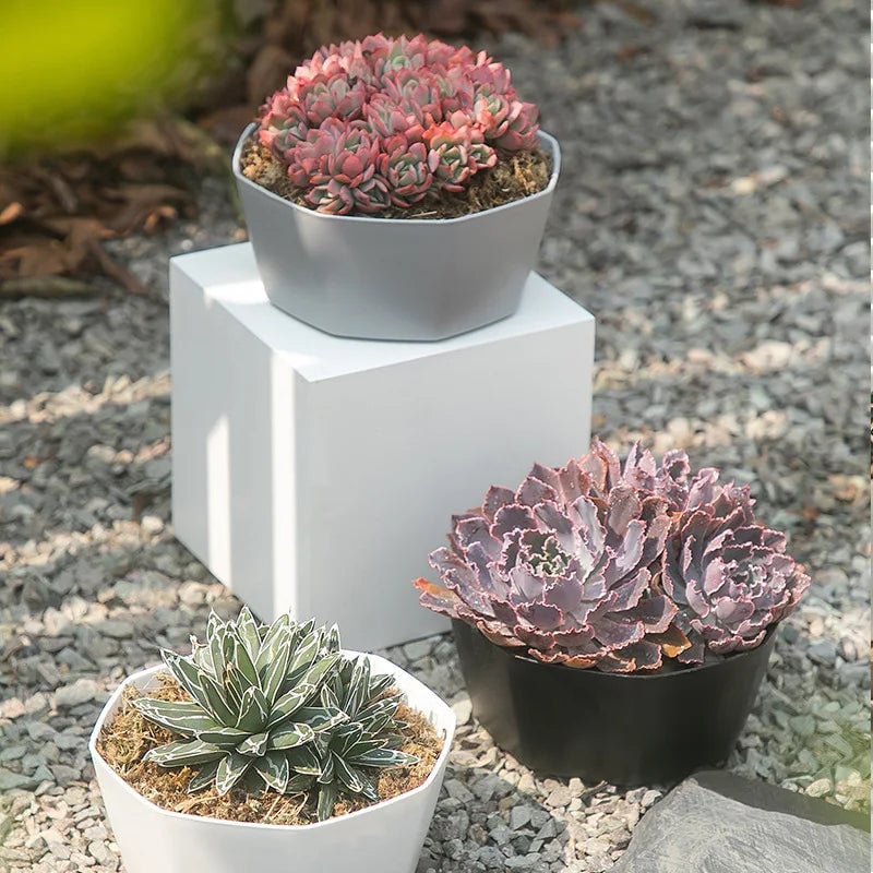Plastic Plant Pots with Drainage Holes & Saucers Set 1/3/4pcs Indoor