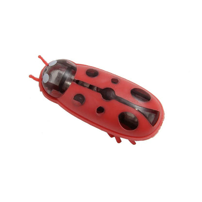 Mini Electric Walking Ladybird Cat Toy - Interactive Bug Pet Toy