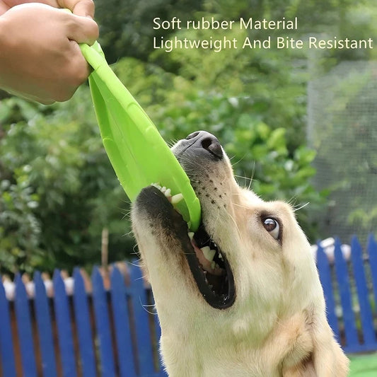Silicone Flying Disc Dog Training Toy - Outdoor Interactive Pet Play