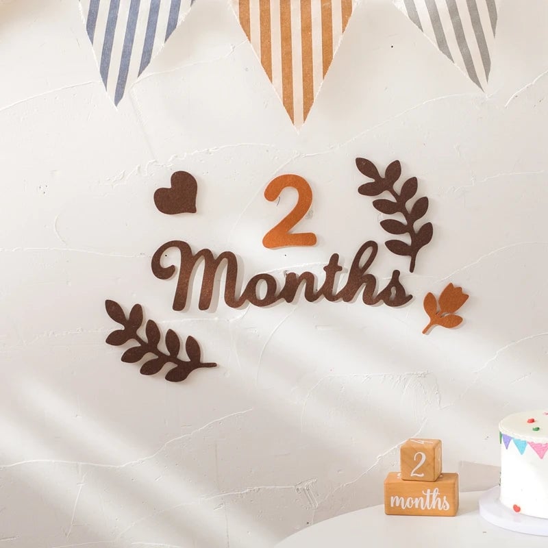 Baby Milestone Cards Felt 0-12 Months Photography Newborn Gift Set