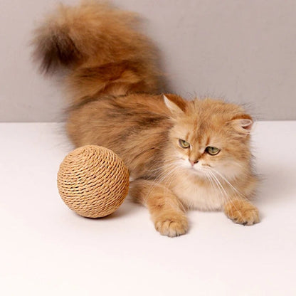 Interactive Sisal Cat Scratching Ball - Teeth Cleaning Kitten Toy