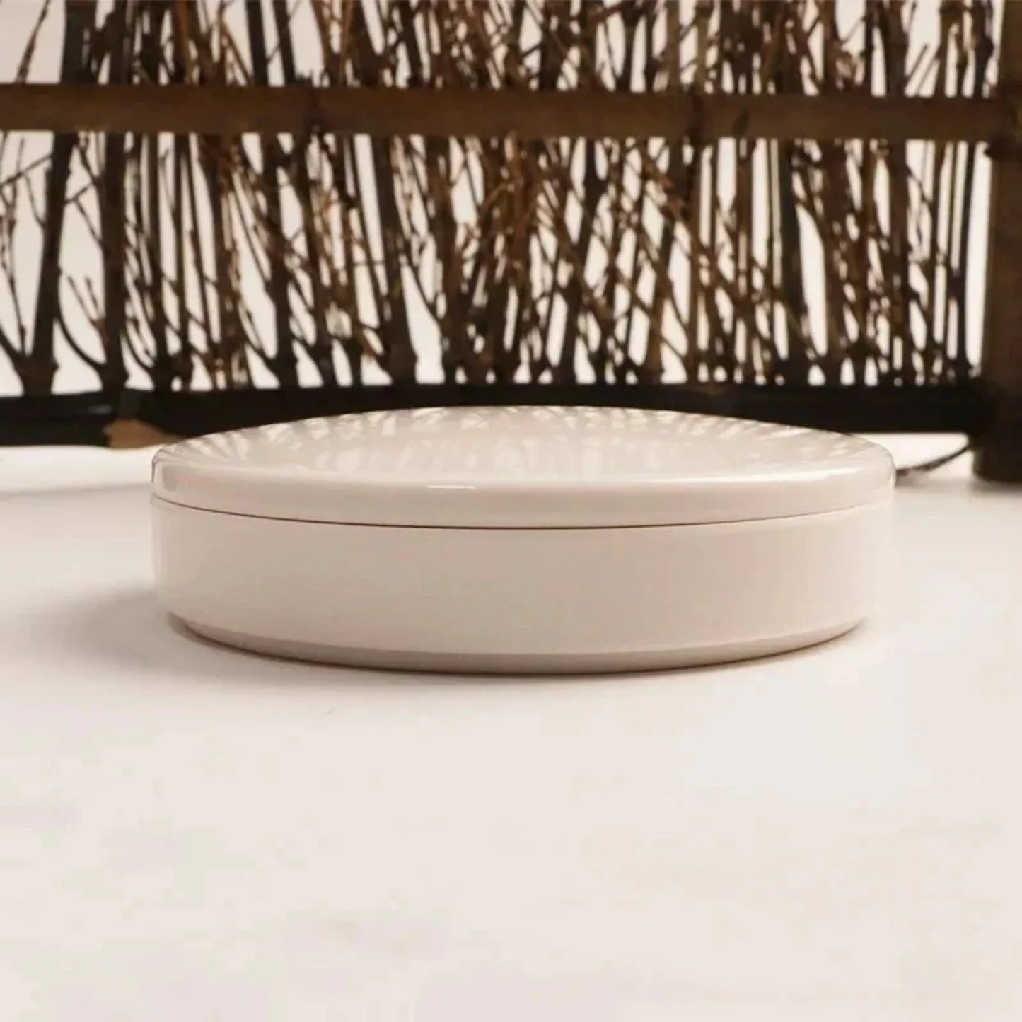 Imitation Porcelain Round Paint Palette with Lid - White Acrylic Tray
