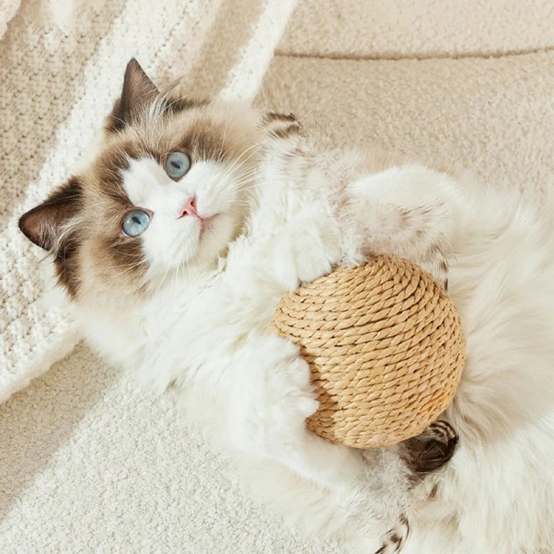 Interactive Sisal Cat Scratching Ball - Teeth Cleaning Kitten Toy