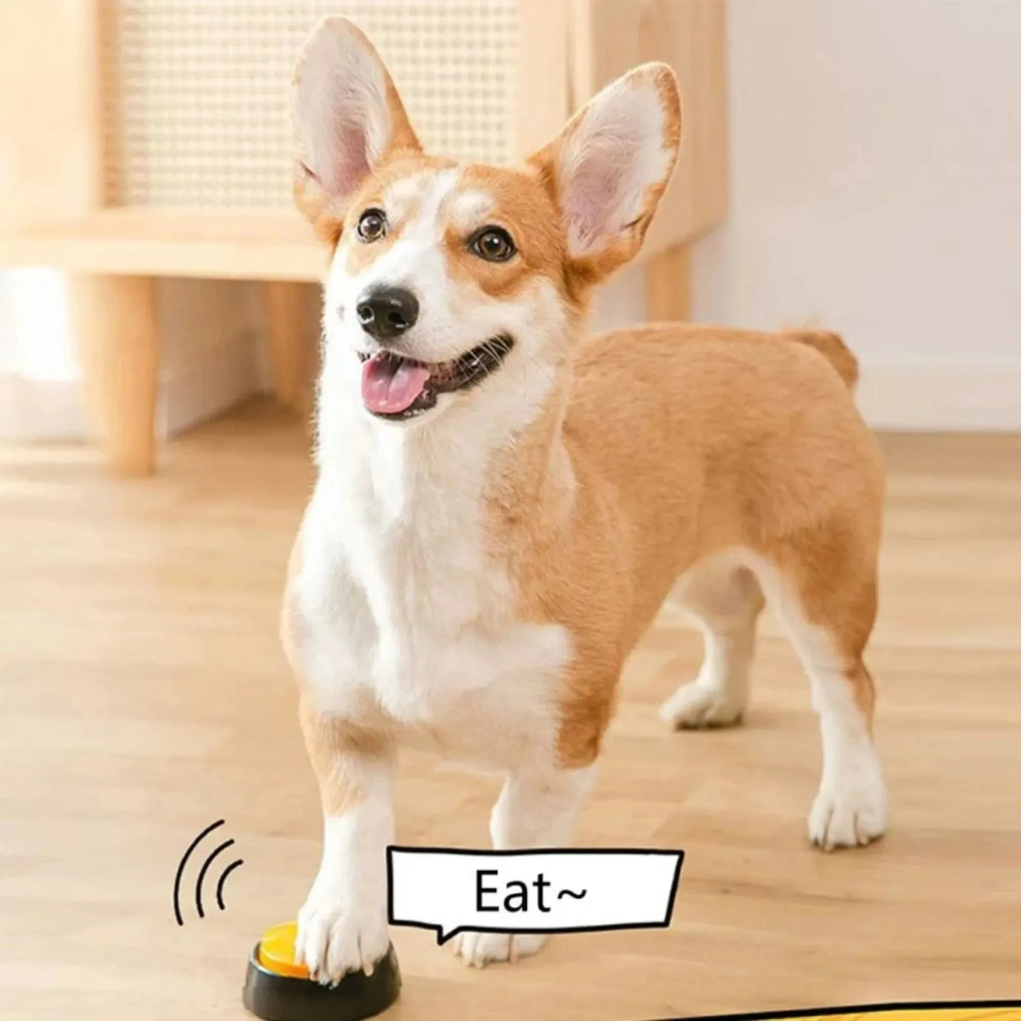 30 Second Pet Training Voice Recording Button Dog Communication Buzzer