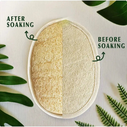 Natural Loofah Body Scrub Brush - Exfoliating Shower Sponge
