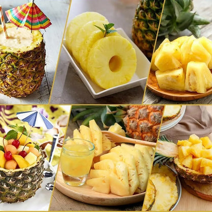 Stainless Steel Pineapple Slicer Peeler Kitchen Tool