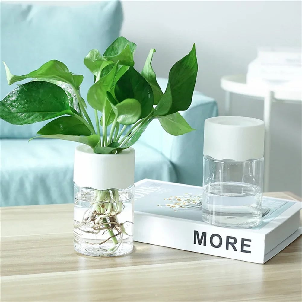 Mini Hydroponic Glass Vase - Transparent Soilless Plant Pot