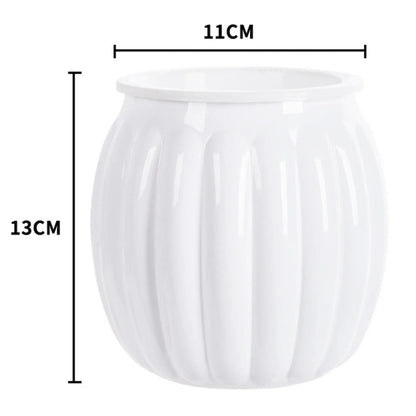 Self Watering Hydroponic Planter - Plastic Succulent Pot Tabletop