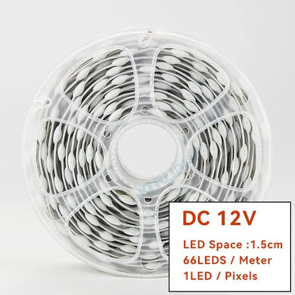 WS2811 RGBIC LED Strip 12V/5V Addressable Christmas Fairy Lights