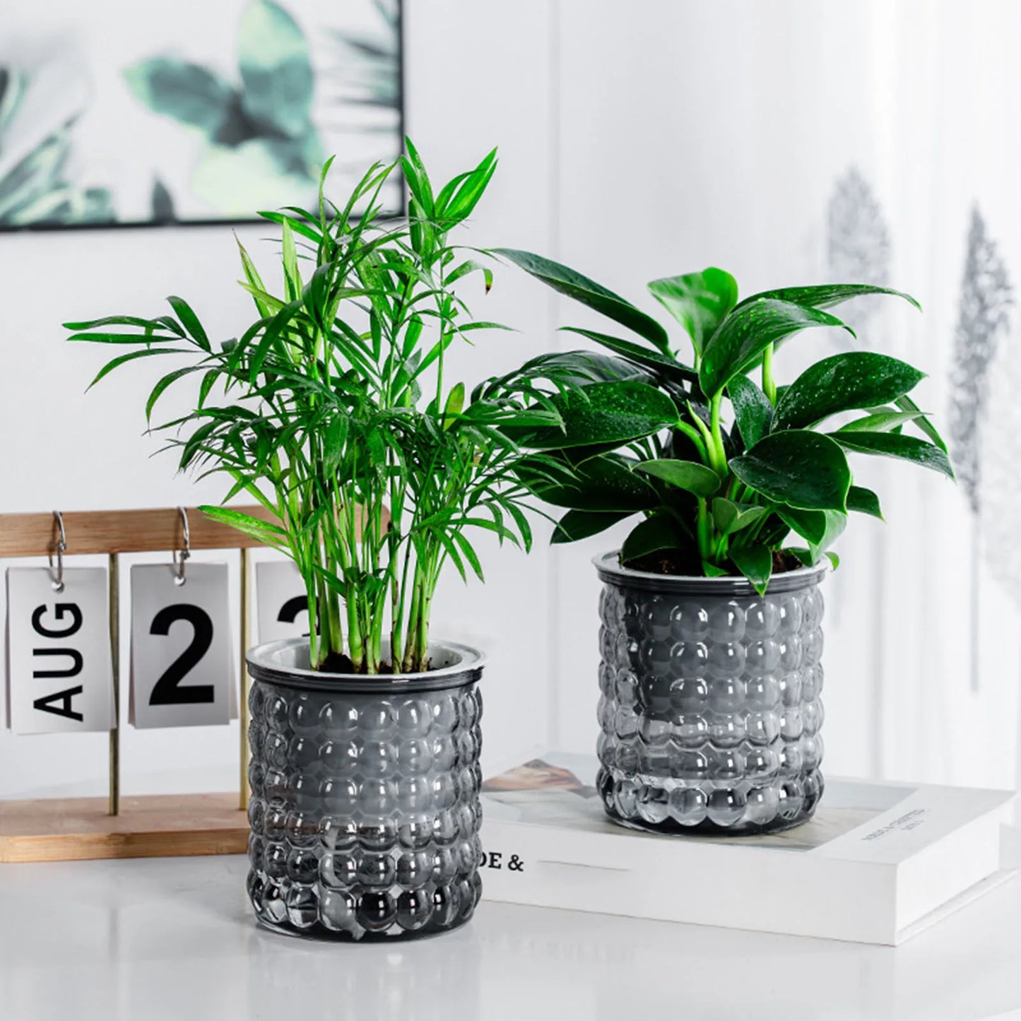 Self Watering Hydroponic Planter - Plastic Succulent Pot Tabletop