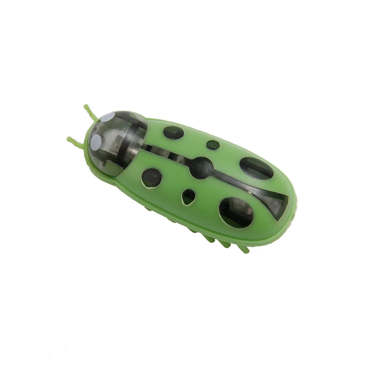 Mini Electric Walking Ladybird Cat Toy - Interactive Bug Pet Toy