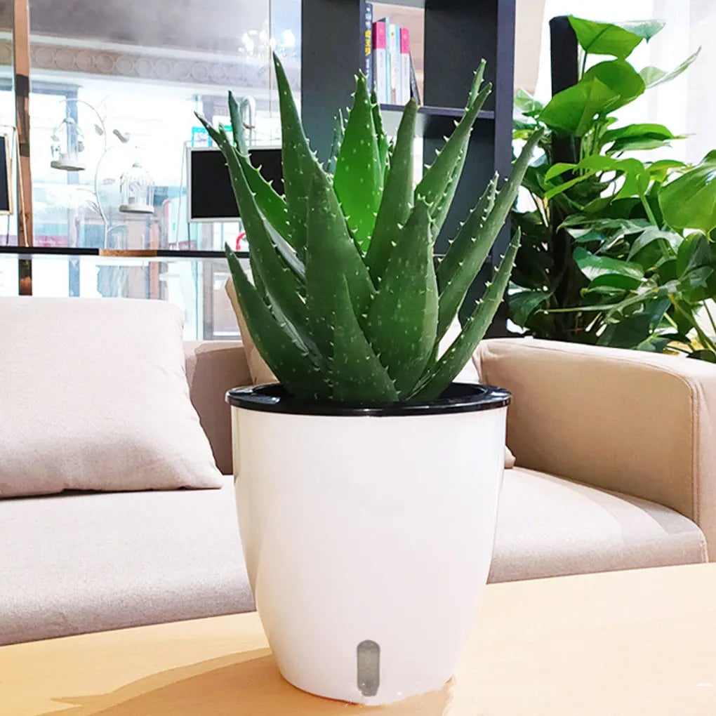 Self Watering Plant Pot - Durable Herb Vegetable Flower Planter