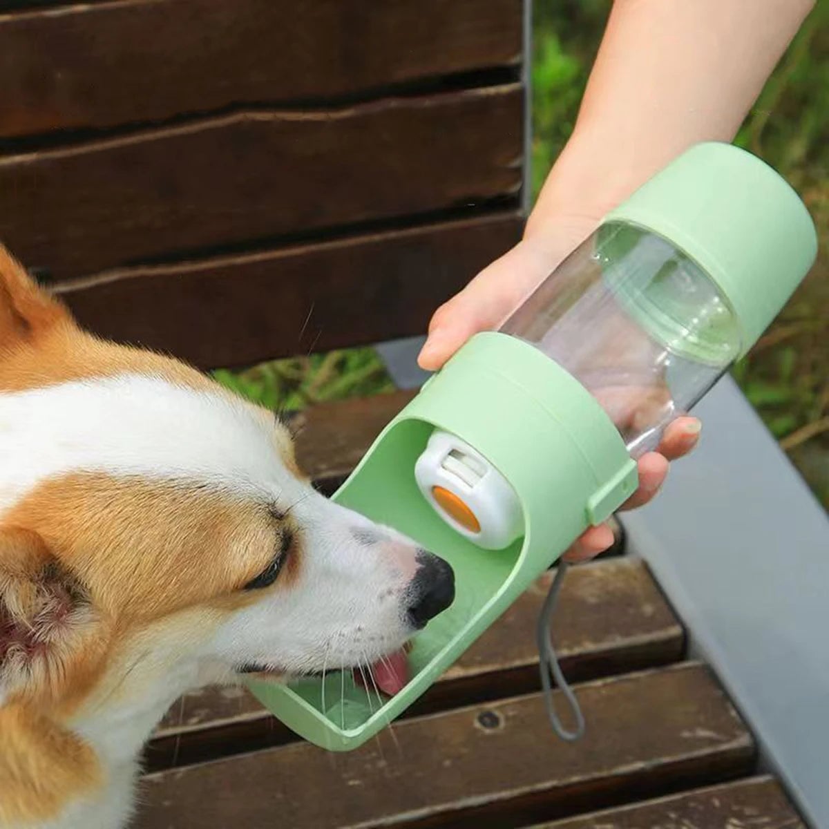 2-in-1 Portable Pet Water Bottle & Food Container Travel Feeder