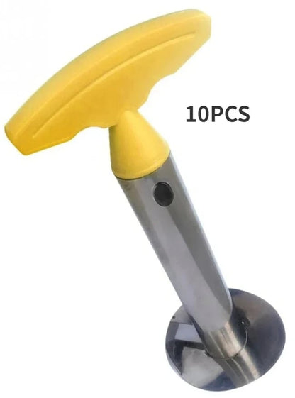 Stainless Steel Pineapple Slicer Peeler Cutter Kitchen Tool