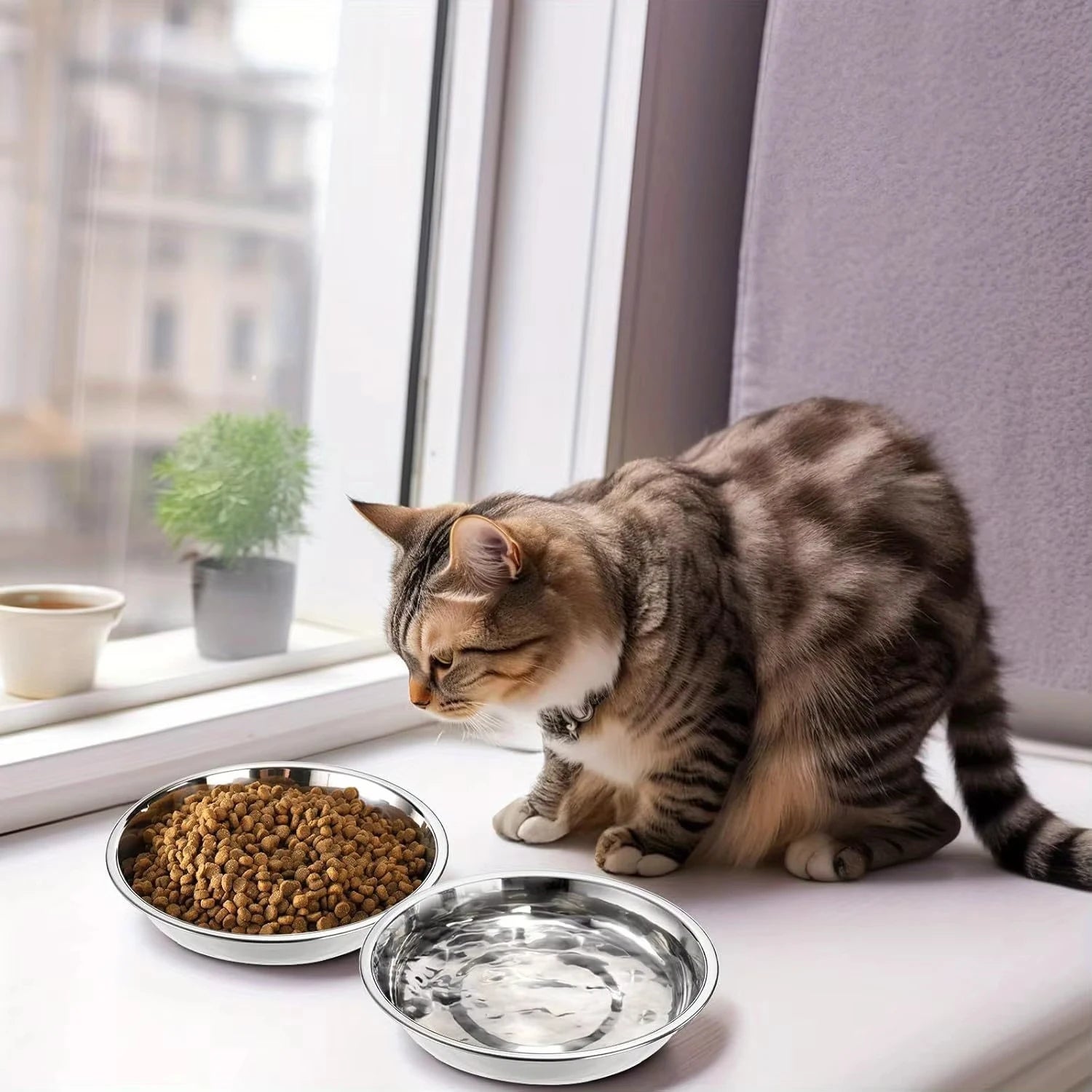 Slip-Resistant Stainless Steel Cat Bowl Set - Low Profile Wide Design