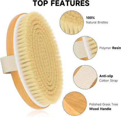 Natural Bristle Wooden Body Brush for Dry Skin Exfoliation